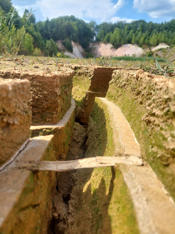 Schilfbrücke im Sediment