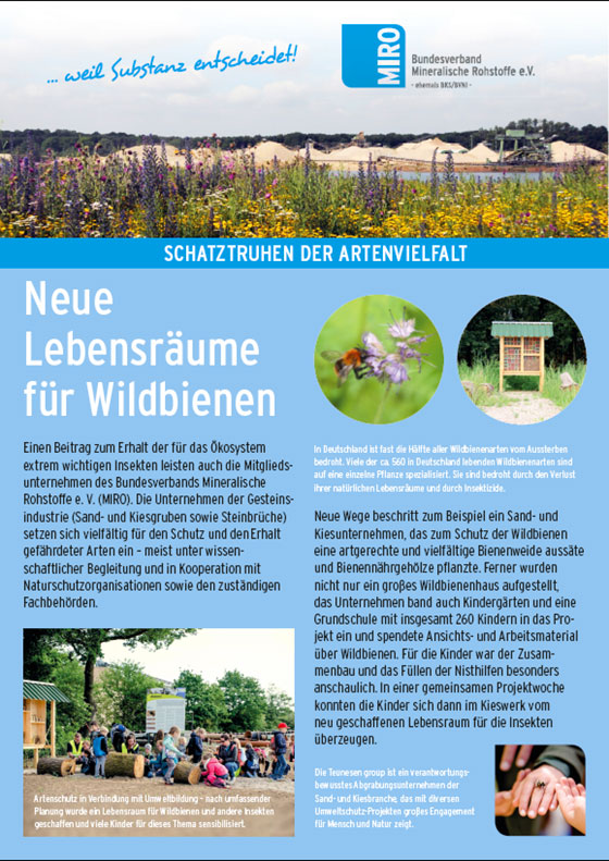 Poster Neue Lebensräume für Wildbienen