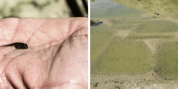 Best Practice Beispiele