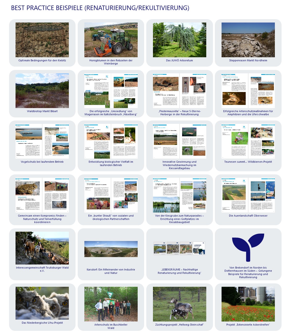 Biodiv-Blog3