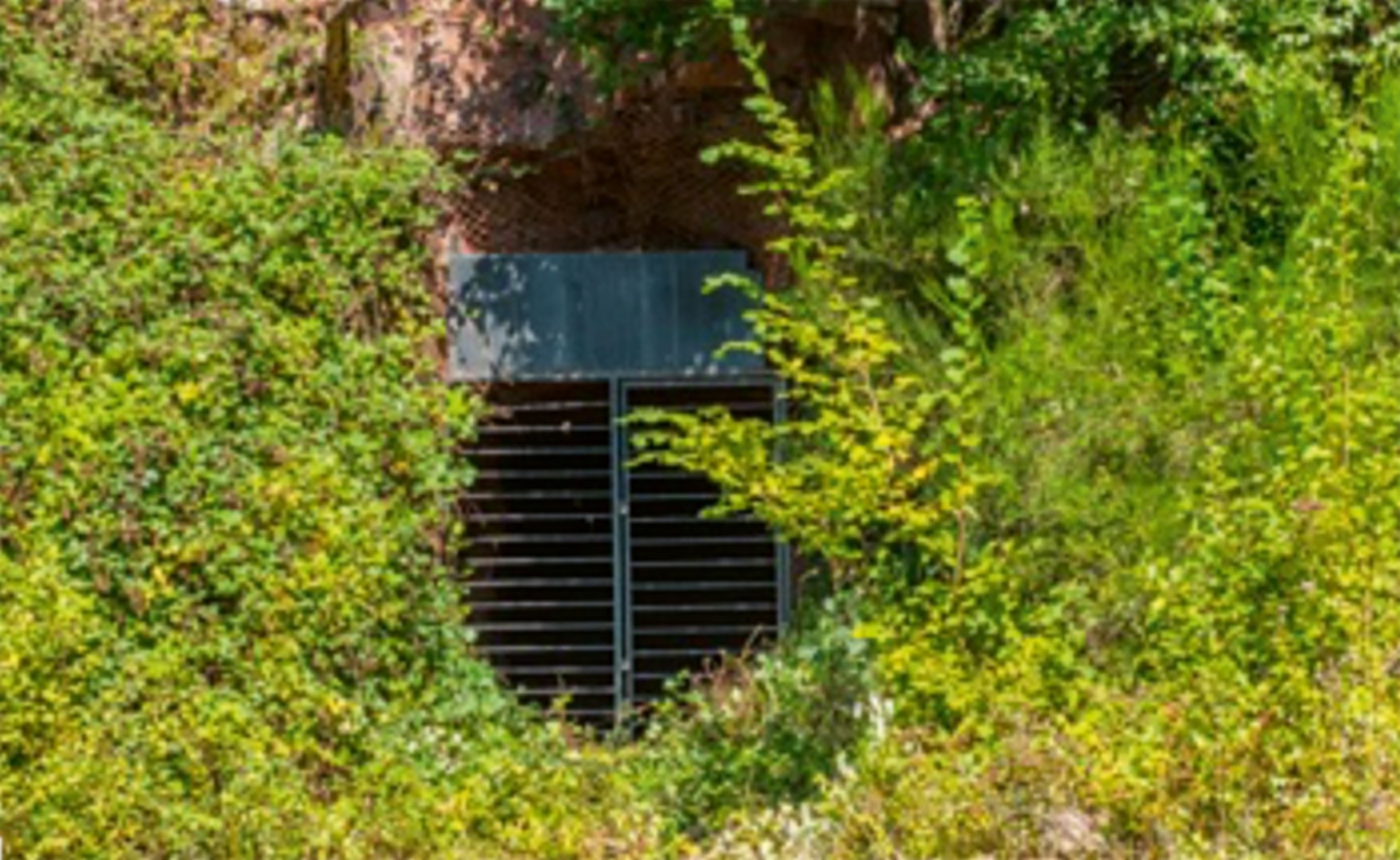 Bergmännisch erstellte Fledermaushöhle