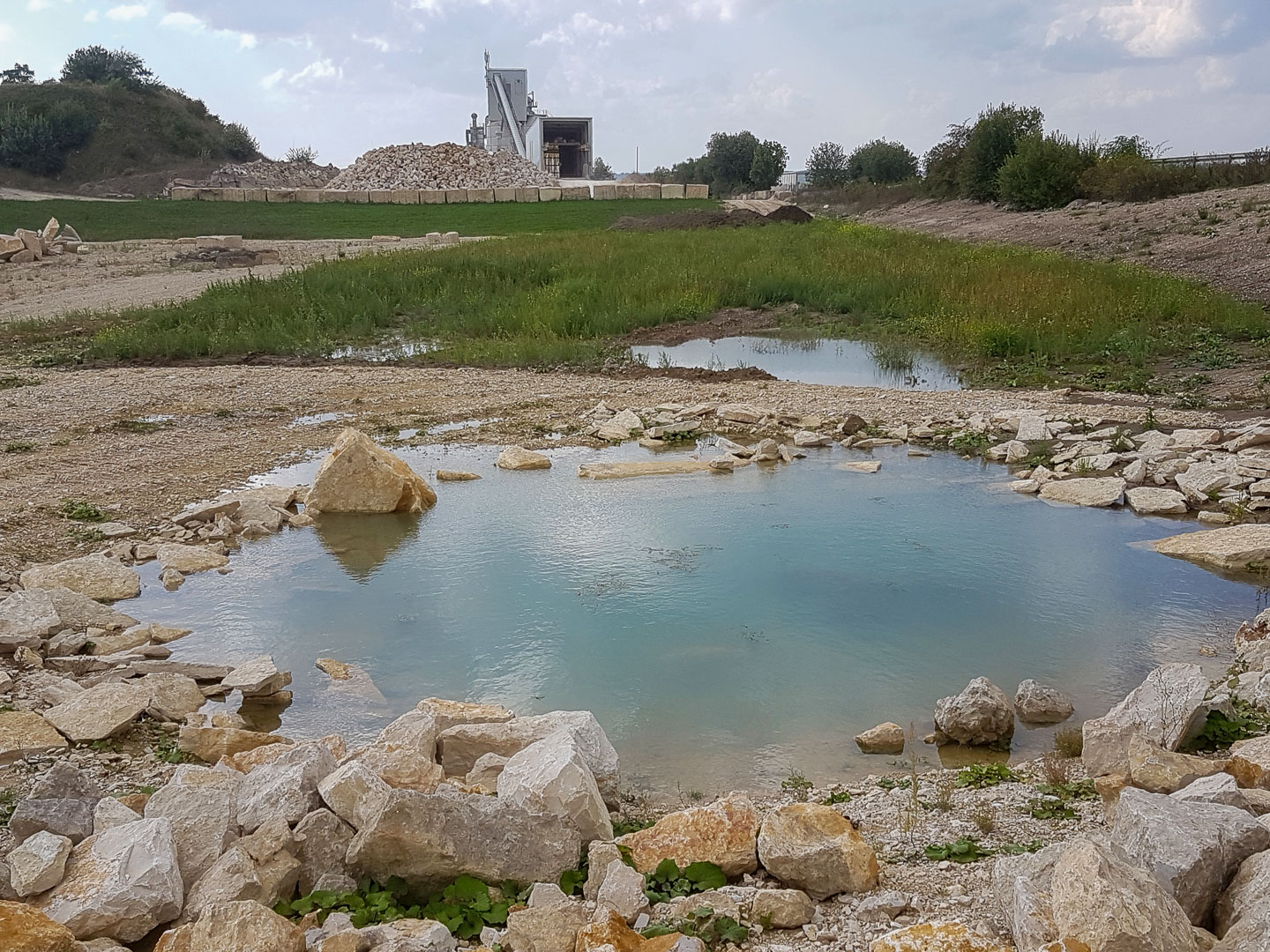 Plätze für Felsbrüter, kleine Tümpel für die Kreuzkröte, weitere Maßnahmen für Amphibienarten und steinige Magerflächen