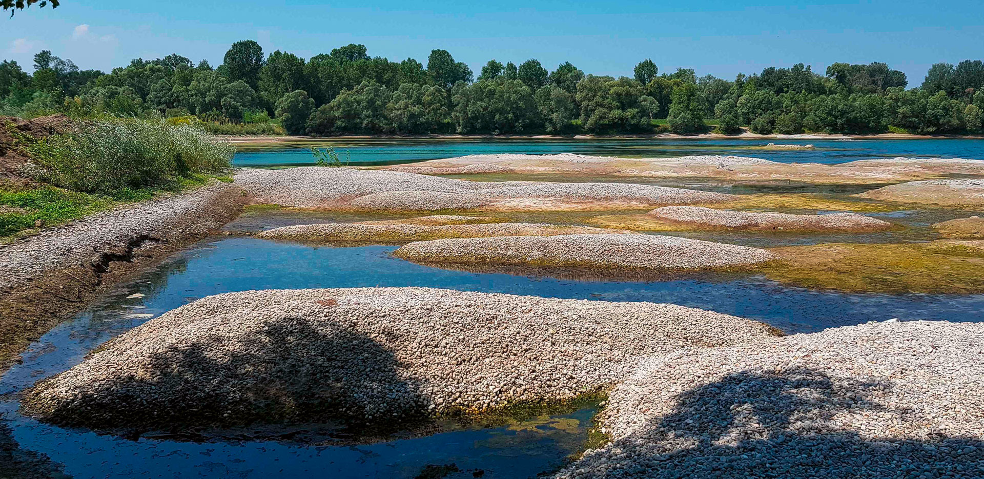 Entwicklung der Flachwasserzone am Südende des Baggersees Beinheim