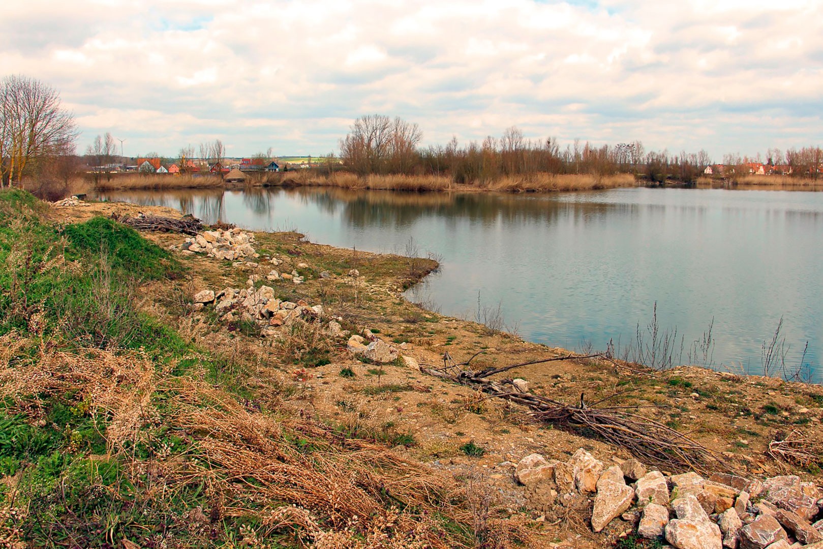 Renaturierungsprojekte, bei denen gezielt Biotope für heimische Tier- und Pflanzenarten geschaffen werden.