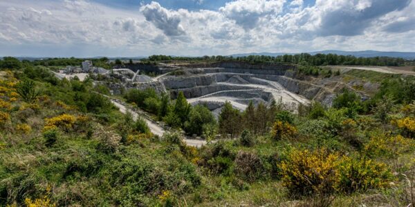 „Natur auf Zeit“ im Steinbruch Pließkowitz
