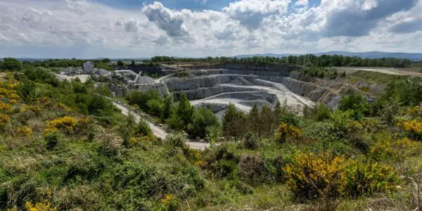 „Natur auf Zeit“ im Steinbruch Pließkowitz