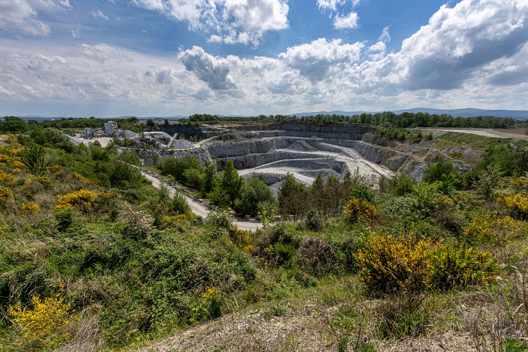 „Natur auf Zeit“ im Steinbruch Pließkowitz