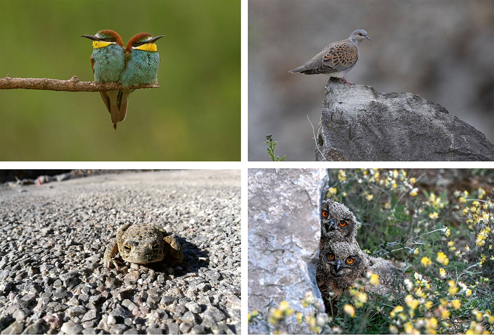Ganz nach dem Konzept „Natur auf Zeit“ entstehen immer neue Wanderbiotope
