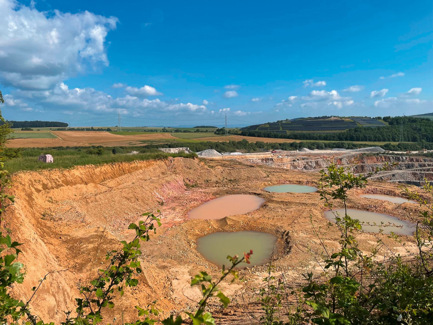 Neue Teichbiotope: Ganz nach dem Konzept „Natur auf Zeit“ entstehen immer neue Wanderbiotope