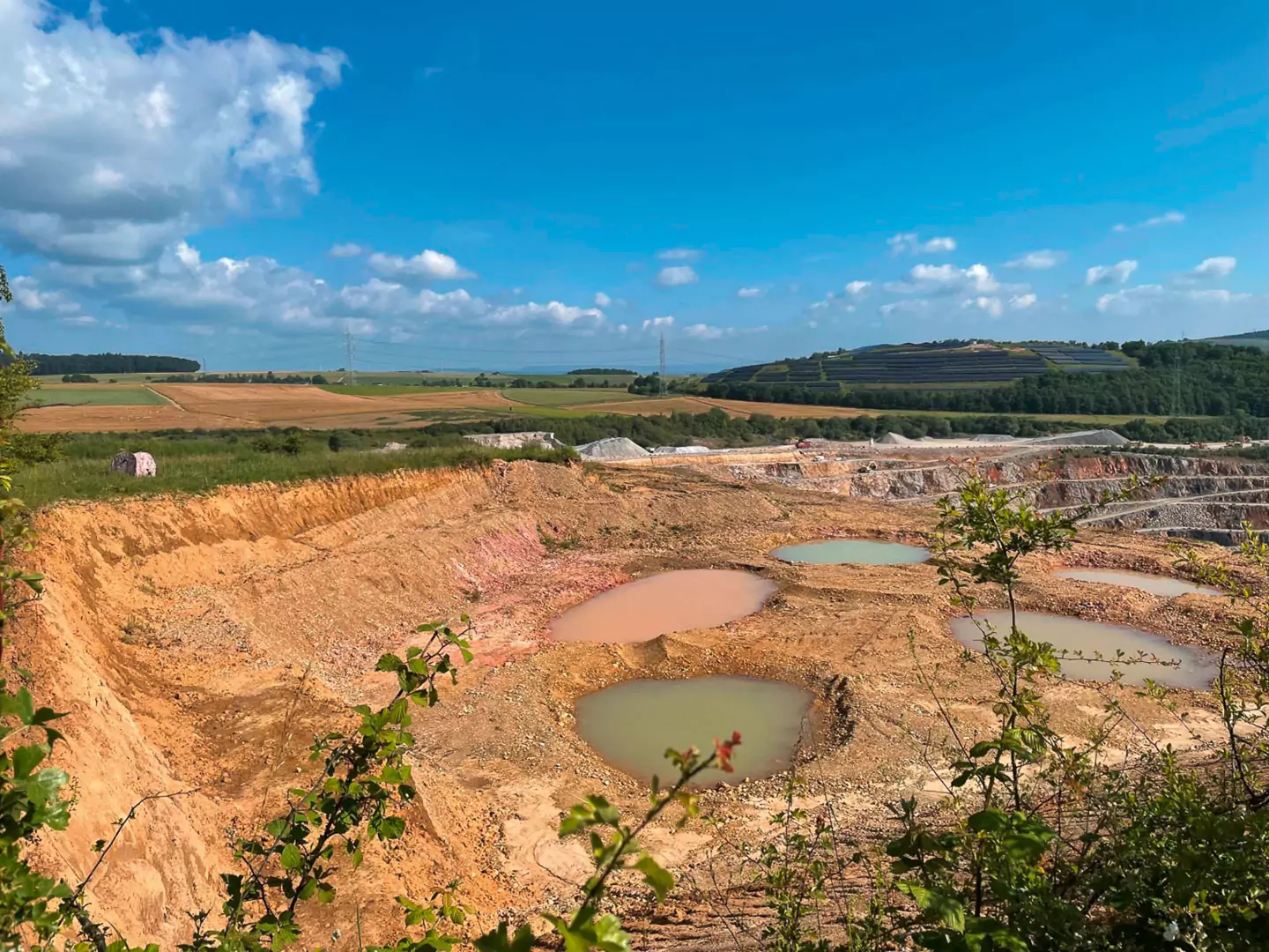 Neue Teichbiotope: Ganz nach dem Konzept „Natur auf Zeit“ entstehen immer neue Wanderbiotope