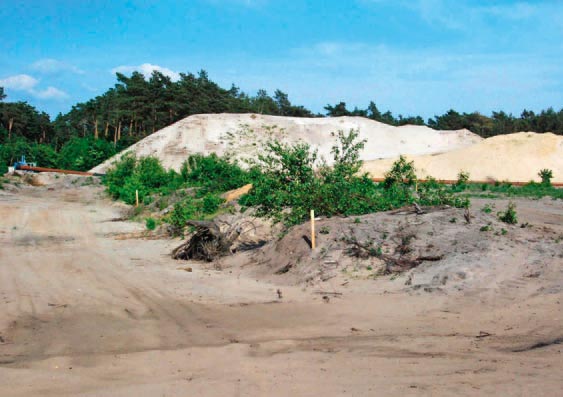 Zum Schutz von Gelegen wurden die Abraumflächen mit markierten Holzpflöcken gesichert und für den Tagebau betrieb komplett gesperrt.