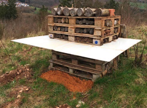 Ein unkonventionelles Insektenhotel mit Veranda für die Ameisenlöwen.