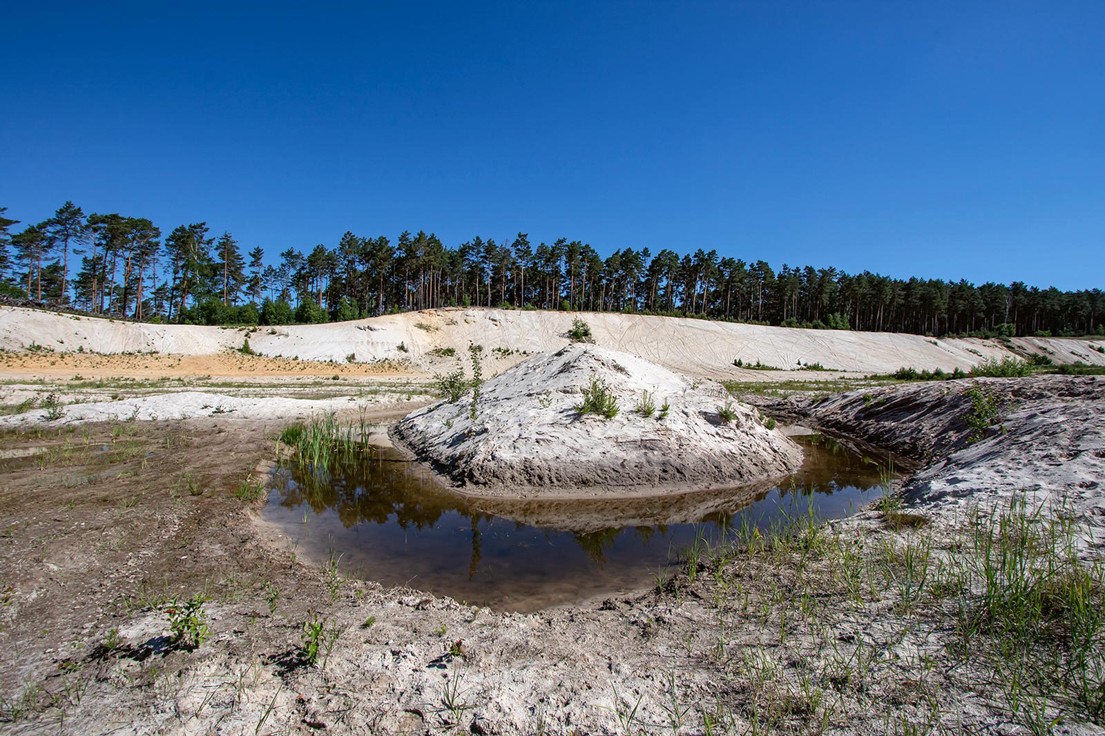 Angelegte Wasserzonen – als Flachwasser mit Vertiefung oder auch als tiefere Kleingewässer.