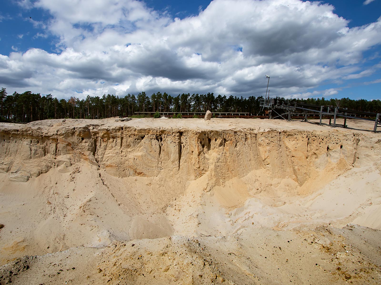 Der Uferschwalben-Canyon im Tagebau Nudersdorf 2021.