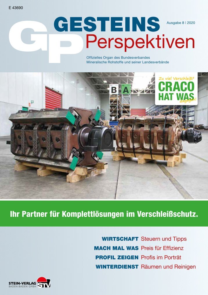 GesteinsPerspektiven Ausgabe 8 | 2020