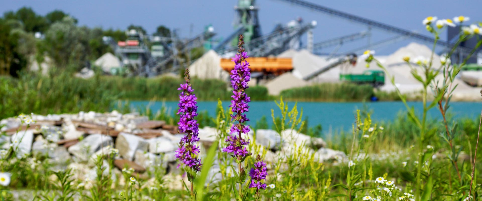 Nachhaltigkeit und Biodiversität